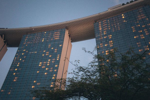 Comment un jeu de simulation agricole peut-il enseigner les principes de la permaculture?